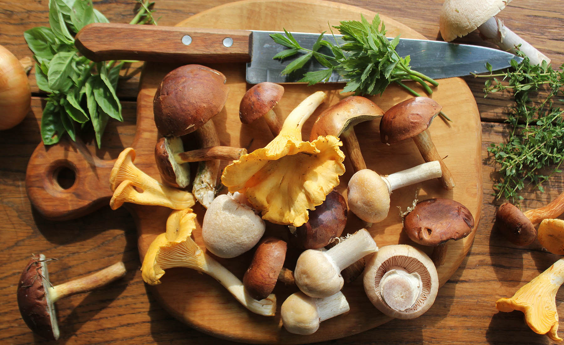 Mushrooms and Diabetes: Nourishing Fungi for Health
